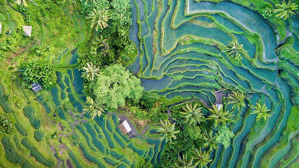 Bali Drone Photography & Video | JUCO Indonesia