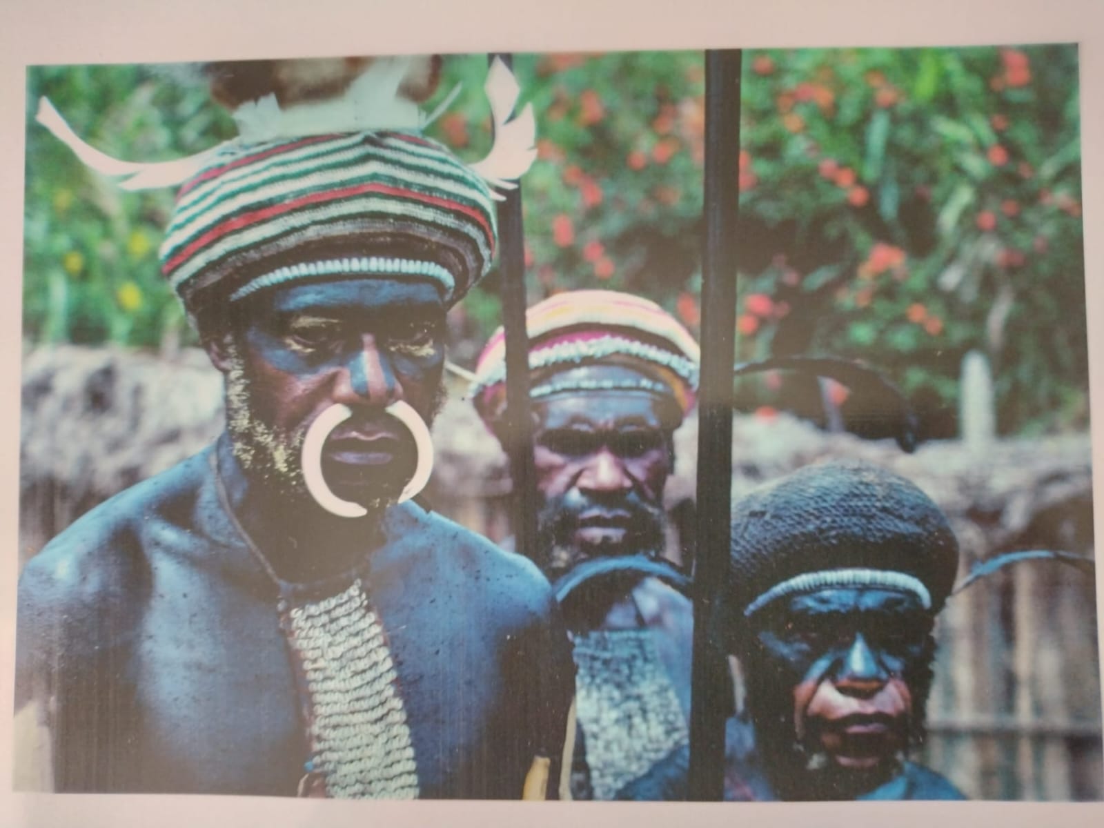 Ilustrasi budaya Papua
