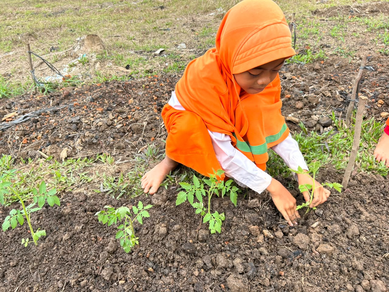 Kegiatan Berkebun Siswa, Belajar Merawat Indonesia