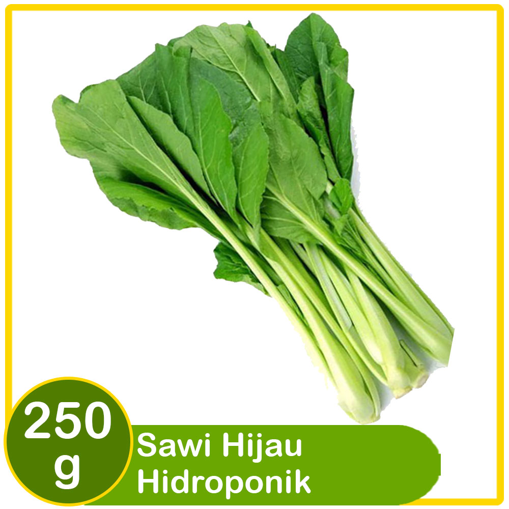 sawi hijau chye sim hidroponik 250g