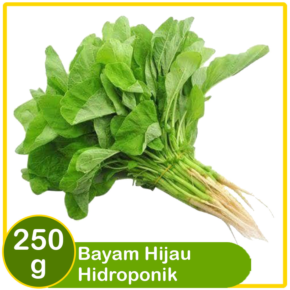 bayam hijau hidroponik 250g
