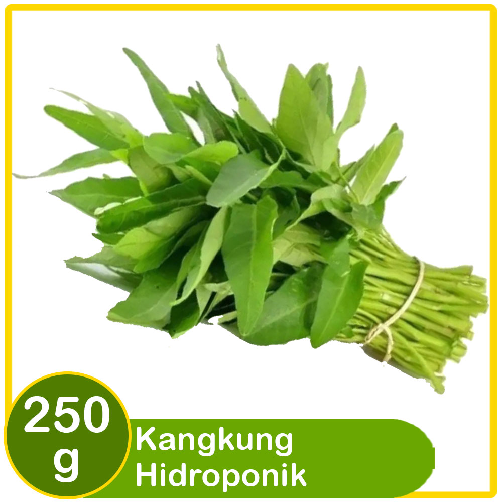 kangkung hidroponik 250g