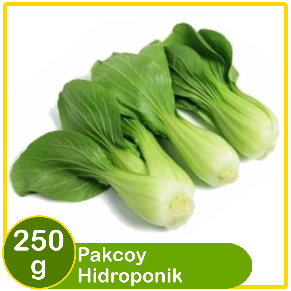 batamindo pakcoy hidroponik 250g